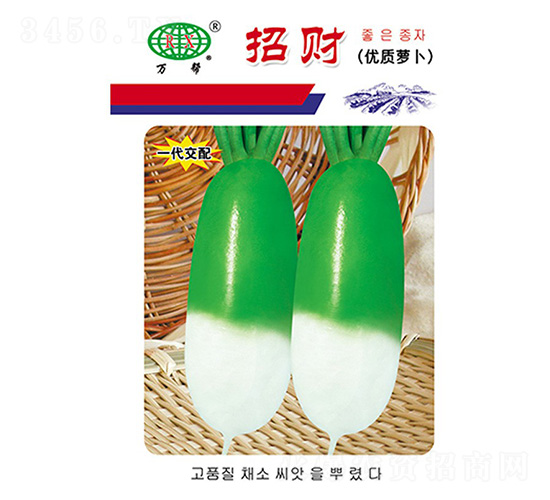 ��ؔ(c��i)�}���N��-�f��N�I(y��)