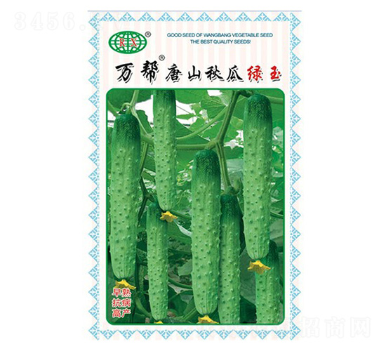 萬幫唐山秋瓜綠玉黃瓜種子-萬邦種業(yè)