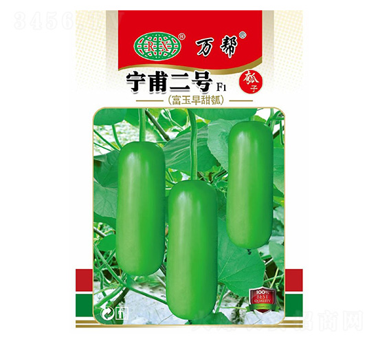 ������̖-�f��N�I(y��)