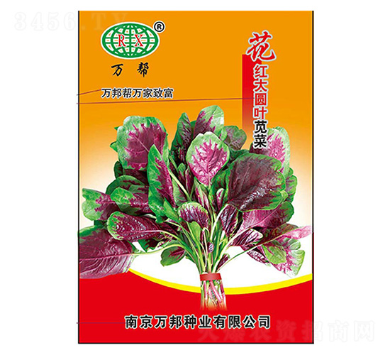 �f�ͻ��t��A�~�{�˷N��-�f��N�I(y��)