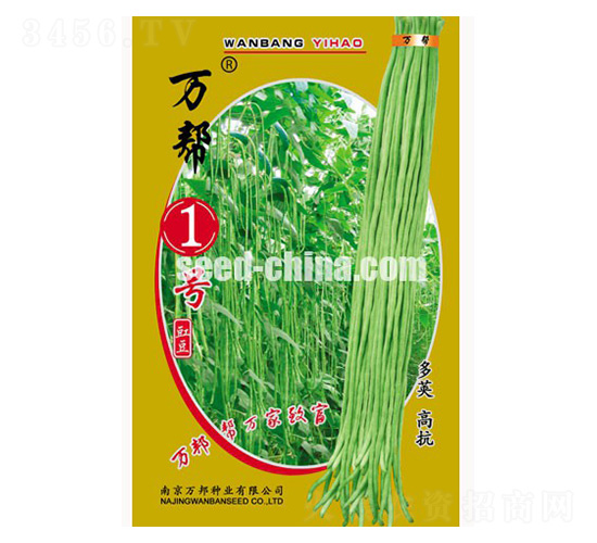 萬幫一號豇豆種子-萬邦種業(yè)
