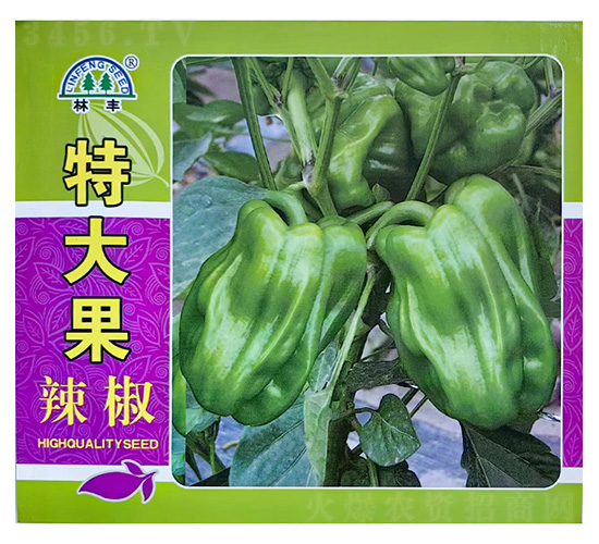 �ش������-�����N��-���S�N��