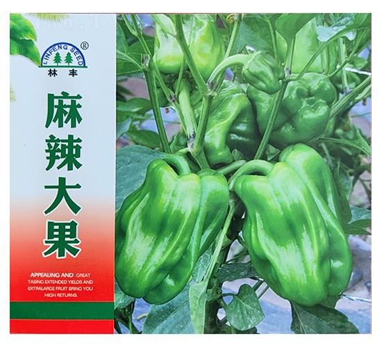 �������-�����N��-���S�N��