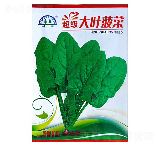 ����(j��)���~����-���˷N��-���S�N��