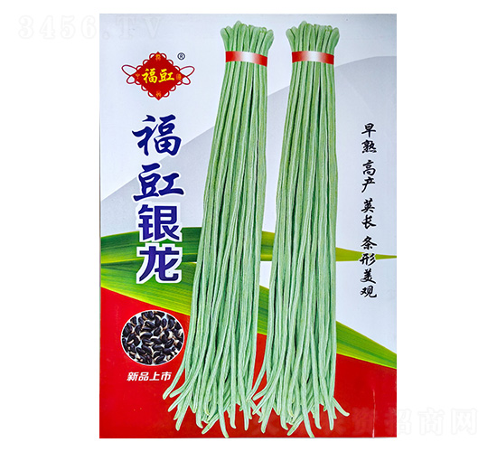 �����y��-�����N��-���S�N��