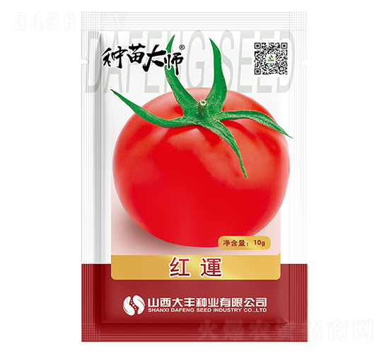 紅運-番茄種子-大豐種業(yè)