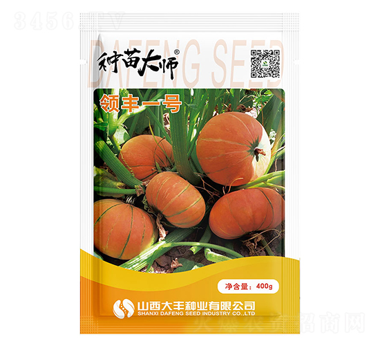 領(lǐng)豐一號-南瓜種子-大豐種業(yè)