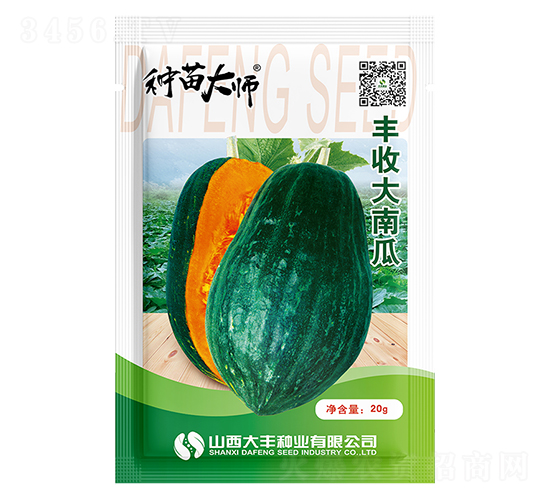 豐收大南瓜-南瓜種子-大豐種業(yè)