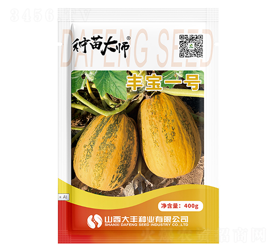 豐寶一號-南瓜種子-大豐種業(yè)