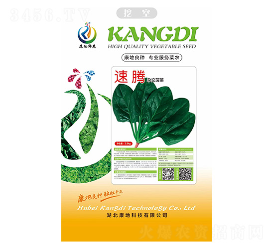 速騰-菠菜種子-康地科技