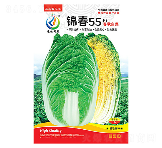 錦春55-白菜種子-康地科技