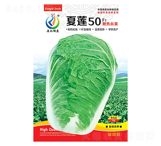 夏蓮50-白菜種子-康地科技