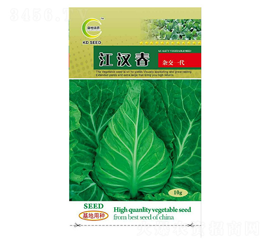 ���h��-���{�N��-���ؿƼ�