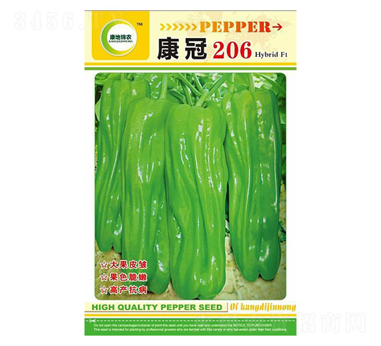 ����206-�����N��-���ؿƼ�