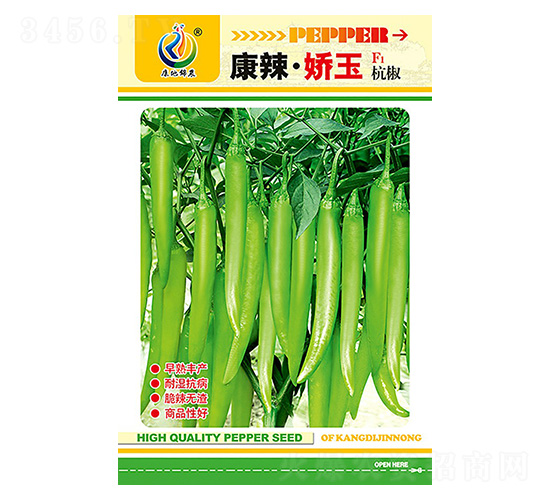 ����������-�����N��-���ؿƼ�