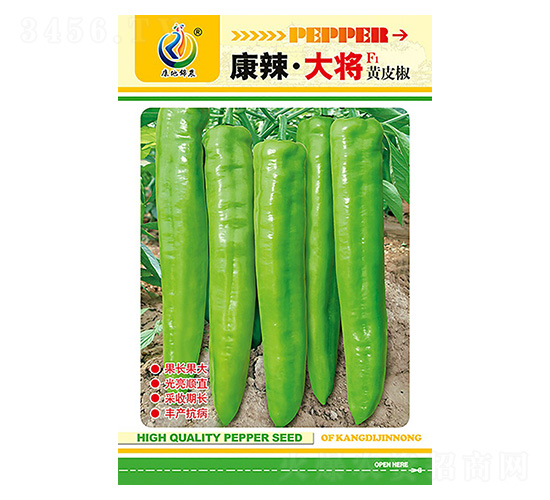 ��������-�����N��-���ؿƼ�