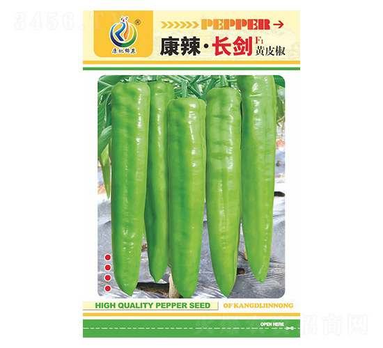 �������L��-�����N��-���ؿƼ�