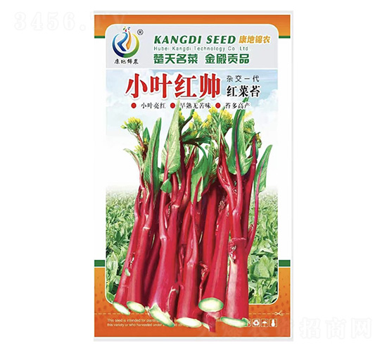 С�~�t��-��޷�N��-���ؿƼ�