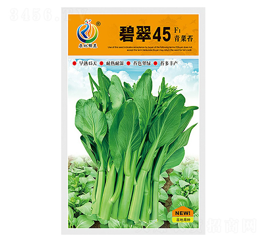 �̴�45-��޷�N��-���ؿƼ�