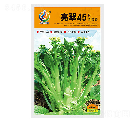 ����45-��޷�N��-���ؿƼ�