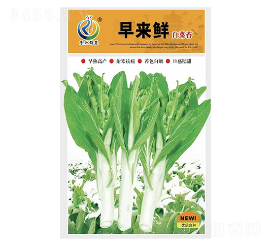 早來(lái)鮮-菜薹種子-康地科技