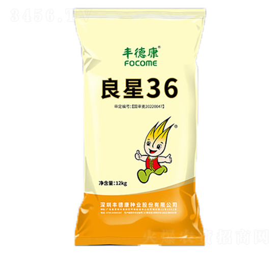 良星36-小麥種子-豐德康