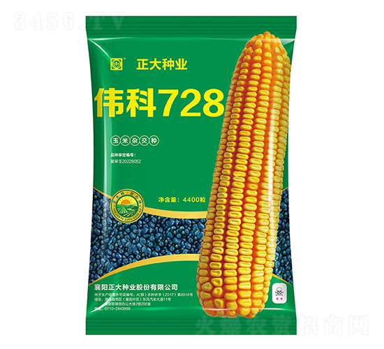 ����728-���׷N��-����N�I(y��)