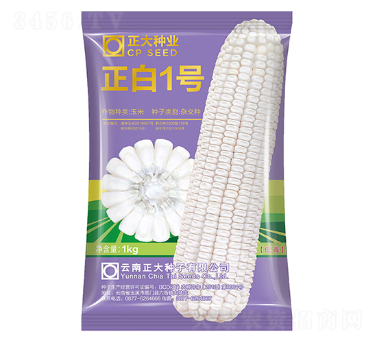 ����1̖-���׷N��-����N�I(y��)