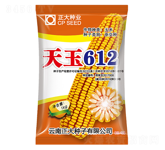 ����612-���׷N��-����N�I(y��)