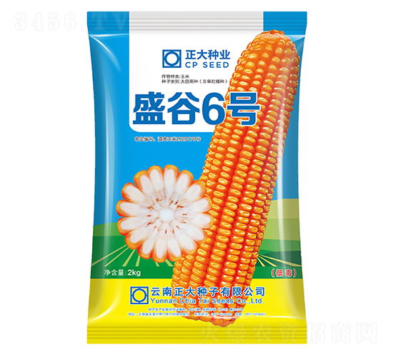 ʢ��6̖-���׷N��-����N�I(y��)