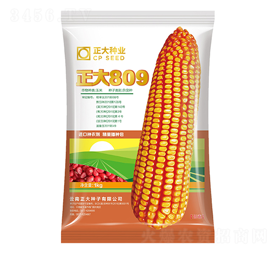 ����809-���׷N��-����N�I(y��)