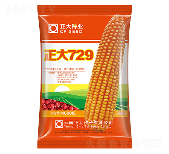 ����729-���׷N��-����N�I(y��)