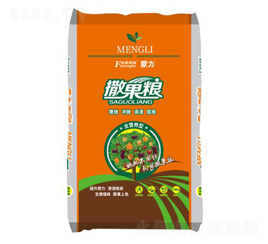 ���������Zȫ�I(y��ng)�B(y��ng)�ͣ��w����-�͝�(r��n)�r(n��ng)�I(y��)