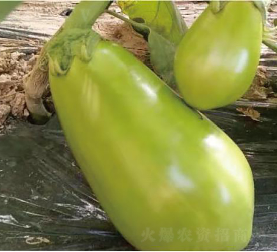 �͝�(r��n)�G��1̖(h��o)-���ӷN��-�͝�(r��n)�r(n��ng)�I(y��)