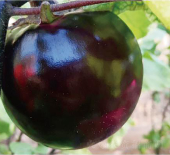 �A��480-���ӷN��-�͝��r�I(y��)