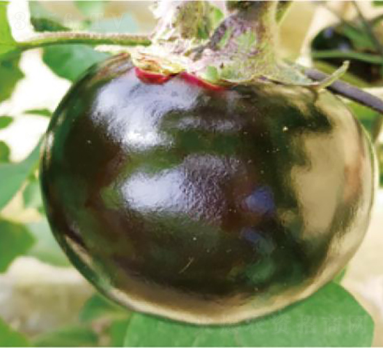 �A��460-���ӷN��-�͝��r(n��ng)�I(y��)