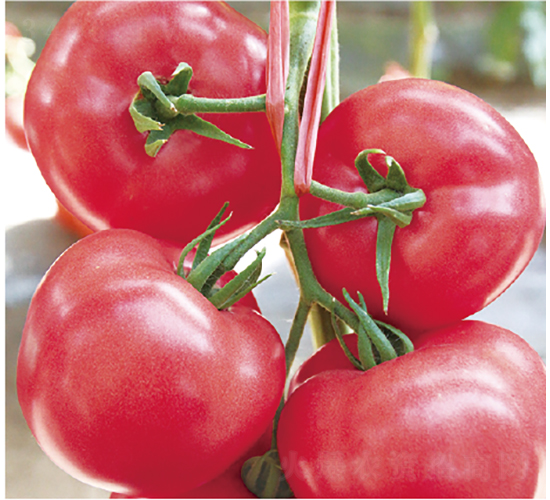 �hķ1699-���ѷN��-�͝��r(n��ng)�I(y��)