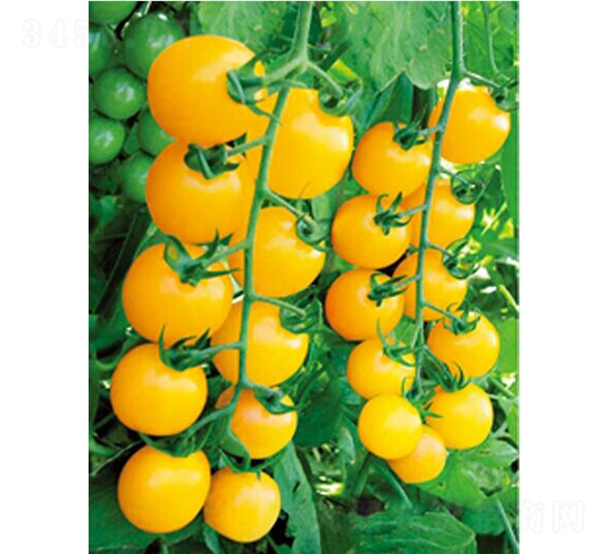 1502-���ѷN��-�͝�(r��n)�r(n��ng)�I(y��)