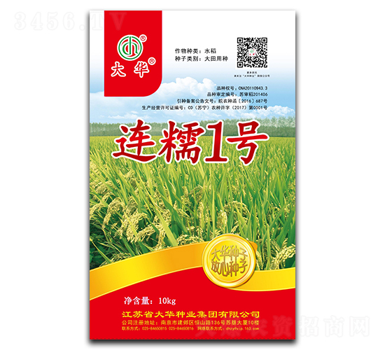 連糯1號-水稻種子-大華種業(yè)