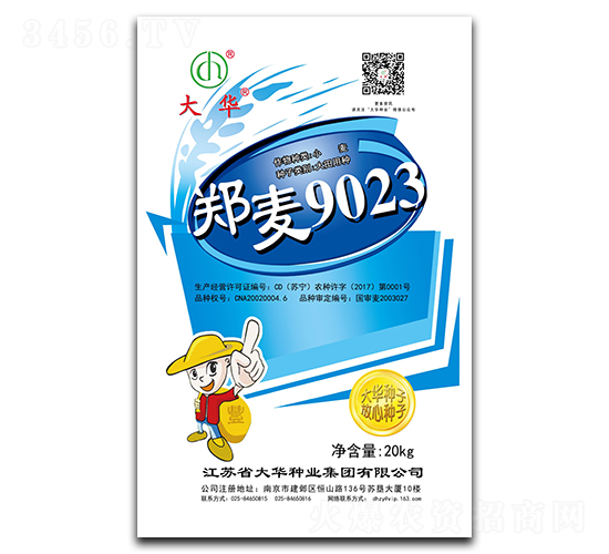 鄭麥9023-小麥種子-大華種業(yè)