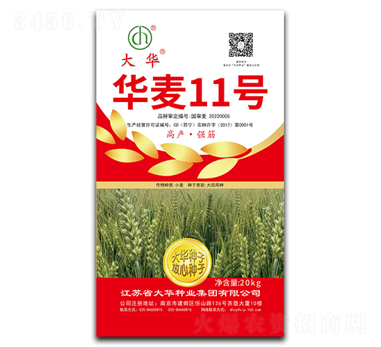 �A��11̖(h��o)-С���N��-���A�N�I(y��)