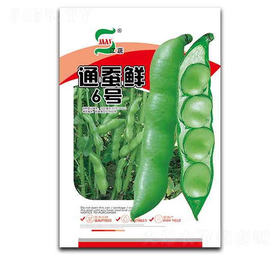 ͨ�Q�r6̖(h��o)-�Q���N��-���A�N�I(y��)