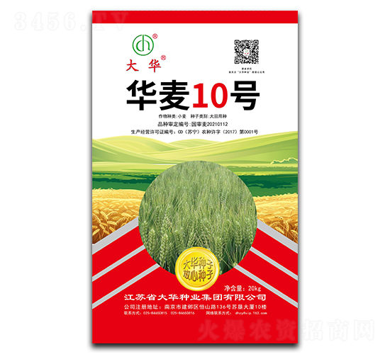 華麥10號-小麥種子-大華種業(yè)