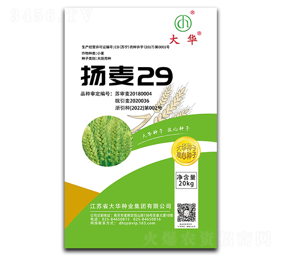 �P��29-С���N��-���A�N�I(y��)