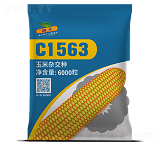 C1563-玉米種子