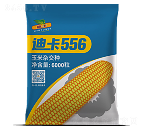 迪卡556-玉米種子
