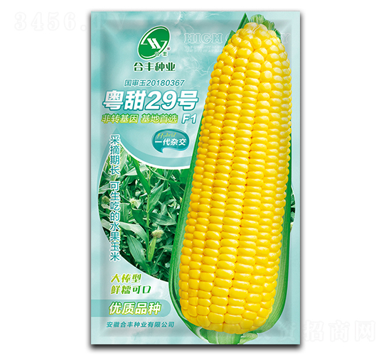 粵甜29-玉米種子-合豐種業(yè)