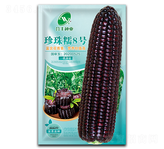 珍珠糯8號(hào)-玉米種子-合豐種業(yè)
