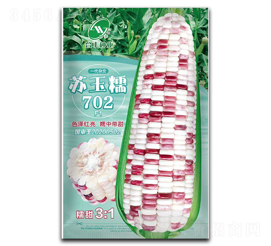 蘇玉糯702-玉米種子-合豐種業(yè)
