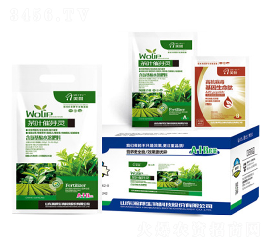 ���~��ѿ�`-嫰�����